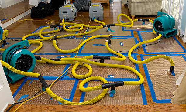 Professional Burst Pipe Water Damage technician working in Harrison, MI
